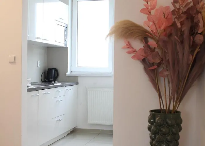 Self Check-in By Amber